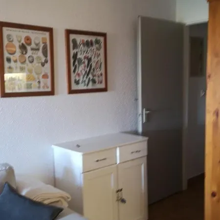 Apartman 2 Pieces Rdc A - Cap Coudalere, Animaux Admis - Fr-1-195-4 Le Barcarès